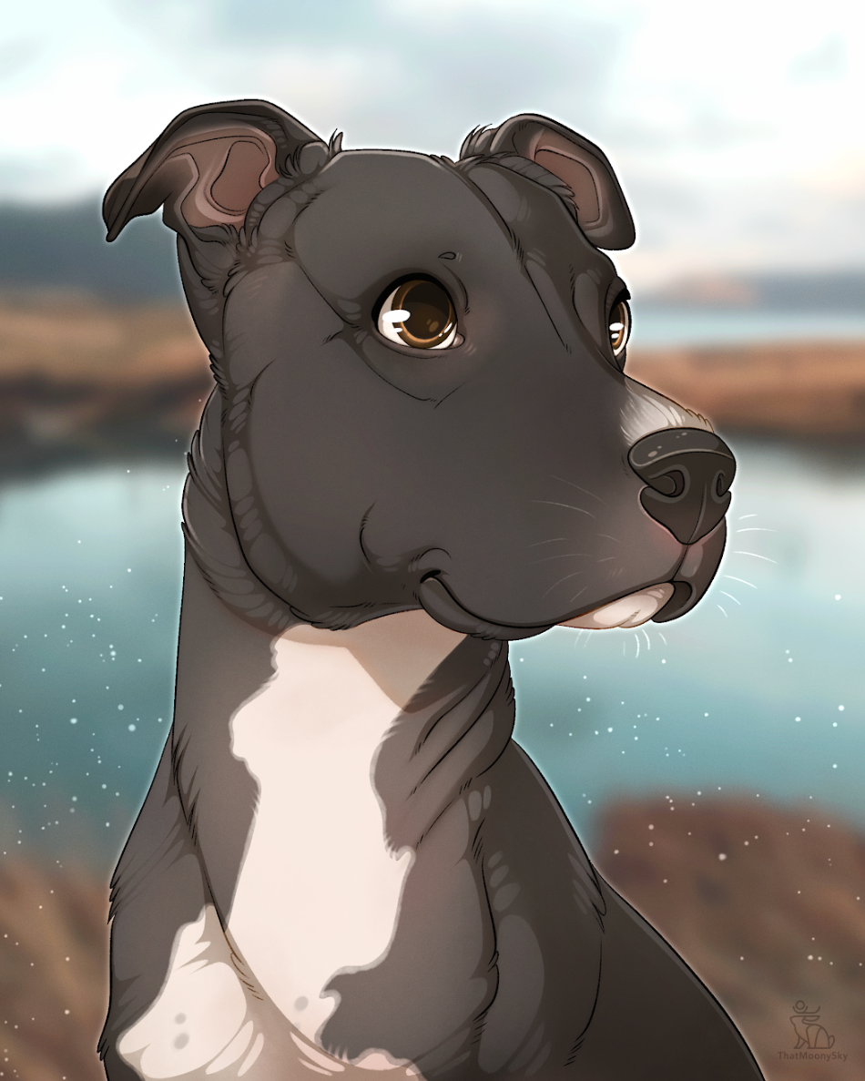 Cartoon Pet Portrait